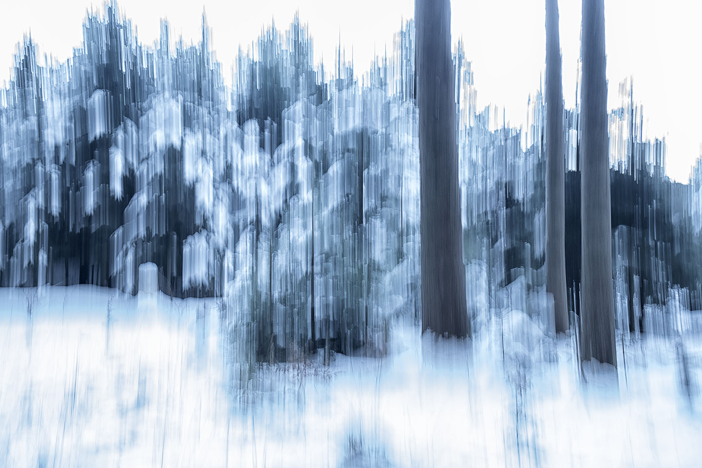 Winter im Risi-Wald
